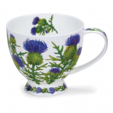 skye_scottish_thistle